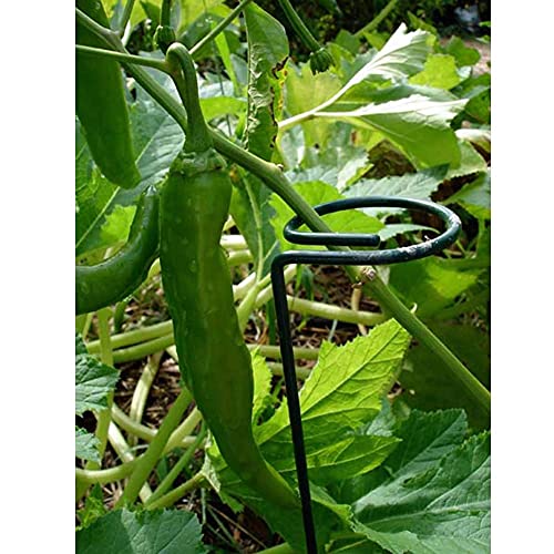 36 Inches Single Stem Plant Support Stakes Steel Garden Stakes Plant Stem Support, Pack of 20 - view 5
