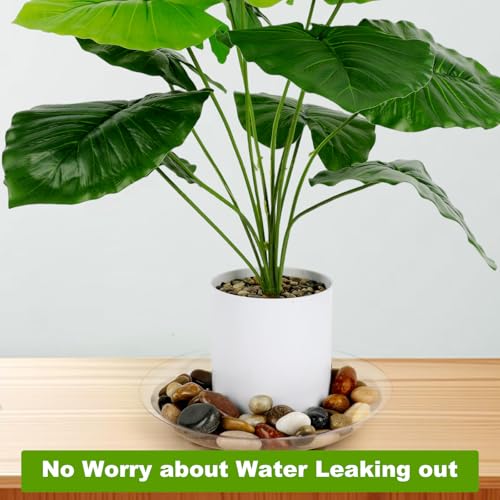 15 Pack Assorted Sizes 6 8 10 Inch Clear Thick Plastic Heavy Duty Sturdy Plant Saucer Drip Trays for pots, 5 Pieces of Each Size (Assorted Sizes 6'', 8'', 10'') - view 6