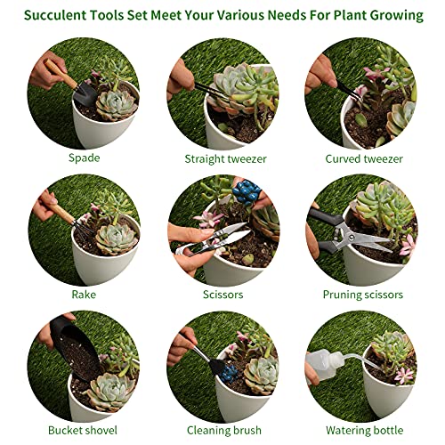 11Pcs Succulent Tools, Mini Garden Tools, Plant Repotting Set(No Flowerpot) - view 3