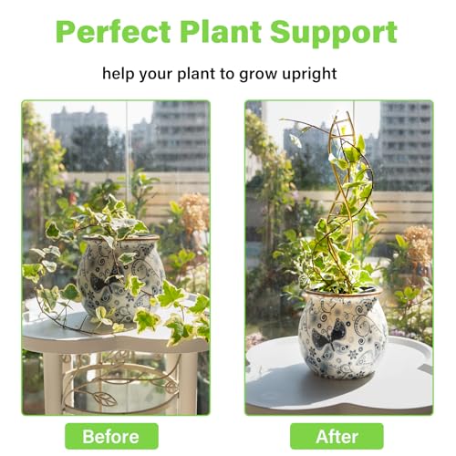 3PCS DNA Plant Trellis Indoor & Outdoor,Metal Trellis for Pots - view 3