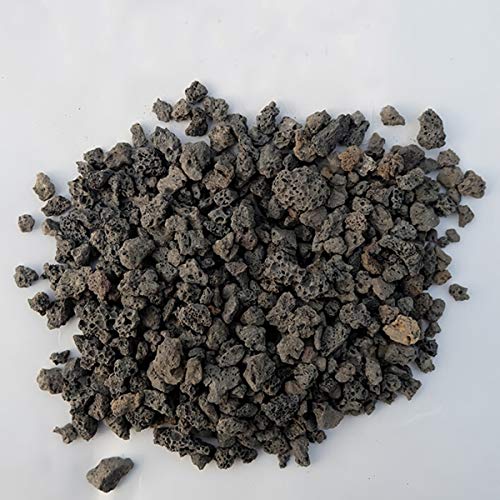 Black Horticultural Lava Rock Soil Additive for Cacti Succulents Plants No Dyes or Chemicals 100% Pure Volcanic Rock 2.2LB Top Dressing - view 2