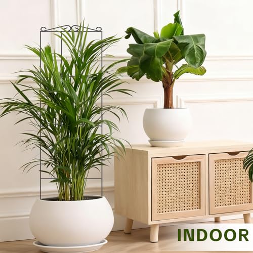 Trellis for Climbing Plants Indoor, 4 Pack 31'' Metal Plant Trellis Indoor for Potted Plants, Sturdy Plant Support Outdoor for Ivy Pothos Monstera Hoya Flower Vine, Rectangular Shape - view 6