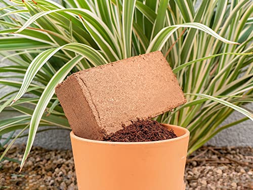 Coco Coir Brick 1.5 Lb Coconut Fiber Indoor Plant Soil 2 Pack - view 2