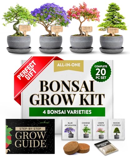Premium 4 Varieties & Grow 4 Bonsai Tree Starter & Milkweed Swamp Rose 1,000 Seeds Kit - view 2