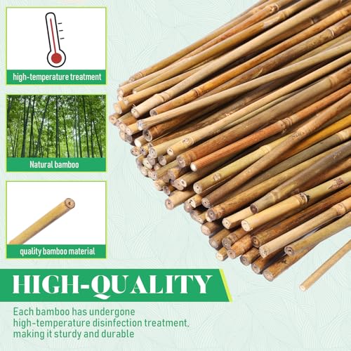 100 Pcs Bamboo Plant Stakes Natural Garden Support Sticks,2 ft - view 3