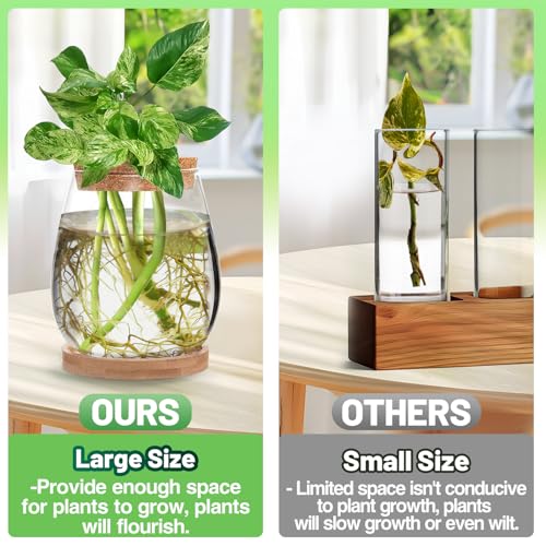 2 Pcs Glass Plants Propagation Stations for Home Office Decor - view 2