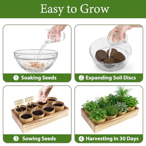 Indoor Herb Garden Kit, Complete Herb Starter Growing Kit with Seeds & Tools, Christmas Birthday Gifts for Women Men Mom Dad, House Warming New Home Kitchen Gifts for Girls Boys Plant Lovers - view 3