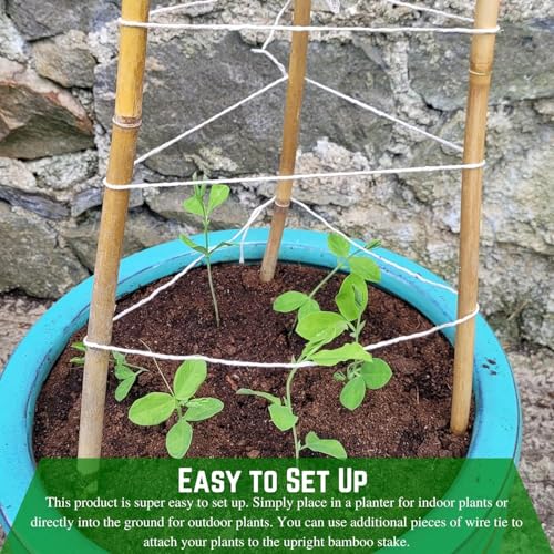 Bamboo Garden Stakes - Bambo Sticks, Bamboo Plant Stakes for Outdoor Plants, Plant Support Stakes for Indoor Plants (7 Foot - 20 Pack) - view 5
