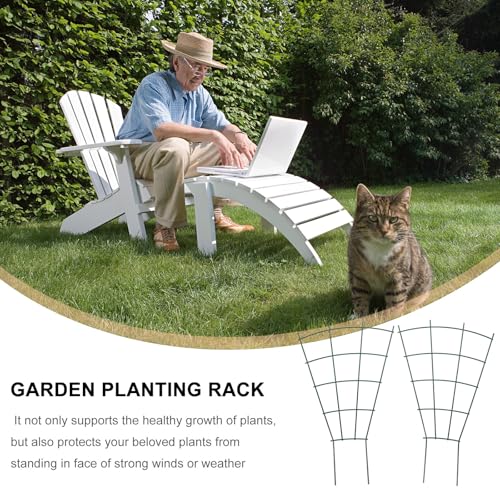2pcs Plant Trellis Iron Climbing Support Rack for Flowering Vines - view 3