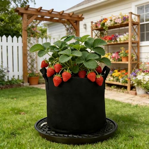 8 Pack 16 inch Self Watering Base for Fabric Grow Bag, Self-watering Plastic Elevated Plant Saucer Stand, Automatic Watering Tray for Non-woven Planter Flower Pot Growth Tent Greenhouse Indoor Outdoor - view 5