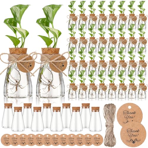 12 Pack 3.35'' Plastic Plant Propagation Stations with Hole Lid Planter Vase Clear Propagation Jars with Thank You Tags for Plant Lover Gifts for Women Office Home Garden