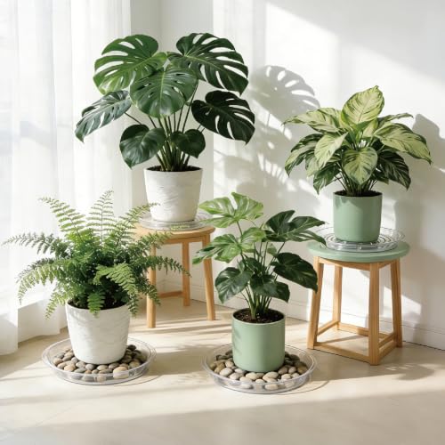 20 Pack Clear Plant Saucers (6/8/10/12 in) – Indoor/Outdoor | Plant Saucer, Plant Trays, Plant Drip Trays, Plant Water Catcher Tray, Plastic Trays for Plants, Flower Pot Saucers. - view 7