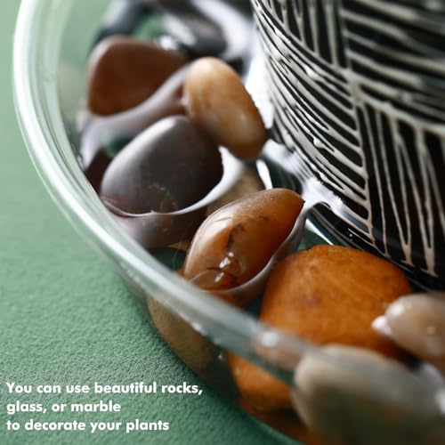 Plant Saucer 20 Pack Plant Trays for Pots 4 Inch Plastic Plant Saucers for Outdoors and Indoors Clear Drip Trays for Potted Plants Flower Pot Plates to Catch Water Plant Drainage Dishes No Holes - view 6