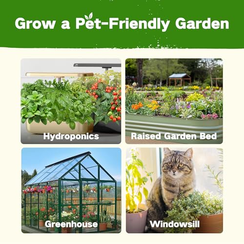 Lush&Dew Pet-Friendly Heirloom Seed Bank, Gardening Gifts for Women Men - view 6