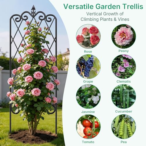 Amagabeli 2 Pack Garden Trellis for Climbing Plants 60" x 18" Rustproof Black Iron Potted Vines Vegetables Vining Flowers Patio Metal Wire - view 6