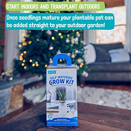 Self Watering Grow Kit - Glass Hydroponic Planters for Succulents and Cacti Self-Watering System - view 3