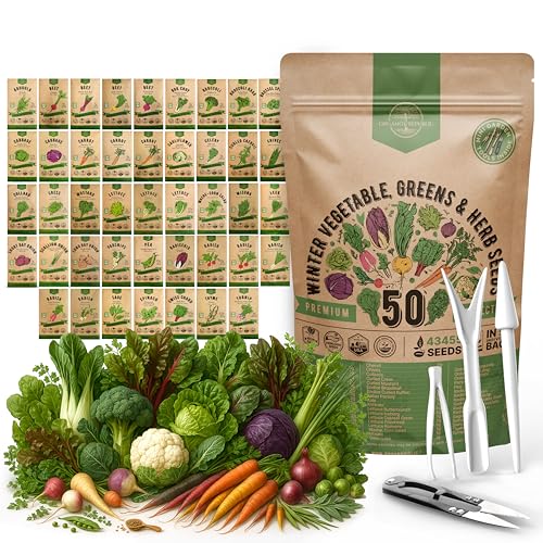 30 Most Popular Winter Vegetable Garden Seeds Variety Pack- Outdoors/Indoor 33,200+ Non-GMO Heirloom Veggie Seeds Broccoli Beet Carrot Cabbage Chives Lettuce Radish Pea Spinach & More - view 8