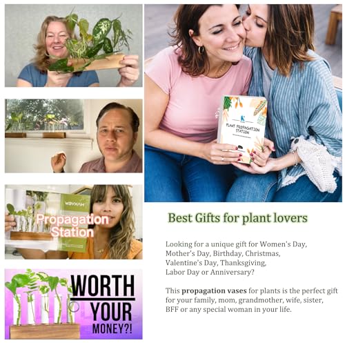 Plant Propagation Station, Plants Propagation Tubes - view 4