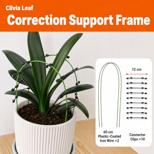 4PCS-Pack Adjustable Clivia Leaf Spacer and Plant Support, Leaf Spacing Tool with Flexible Coated Wire Frame, Reusable Leaf Guide for Broad-Leaf Indoor Potted Plants - view 2