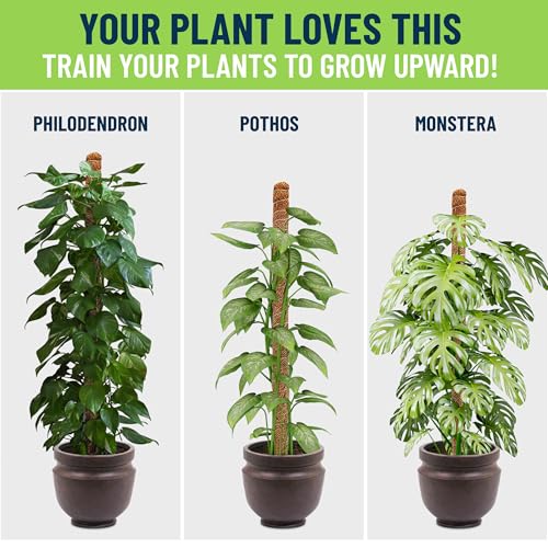 Moss Poles for Climbing Plants – Bendable Stake for Indoor Plants 28 Inch (2 Pack), Monstera Support, Moss Stick, Climbing Plant Support - view 5