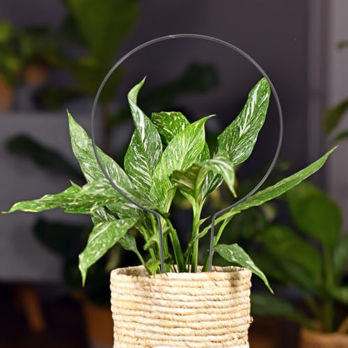 2pcs Iron Vine Plant Climbing Rack, Flower Support Frame - view 6