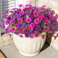 12 Bundles Morning Glory Artificial Flowers for Outdoor Decoration