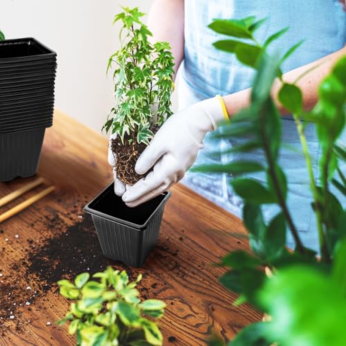 100Pcs Square Plant Nursery Pots,3.5 Inch Plastic Pots with Drainage Holes,Reusable Seed Starter Pots for Flowers,Vegetables,Garden Planting,Transplanting,Succulents,Cuttings(Black) - view 7