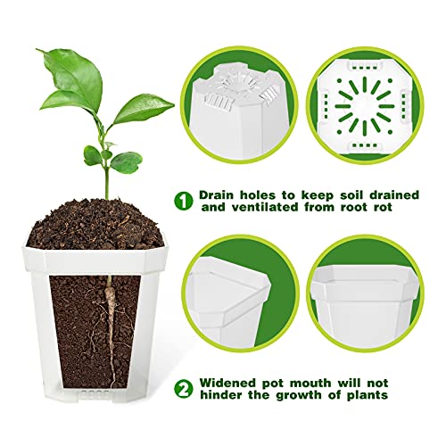 60Pcs 3" Clear Nursery Pot with 100Pcs Plant Labels, Square Planting Pots - view 3