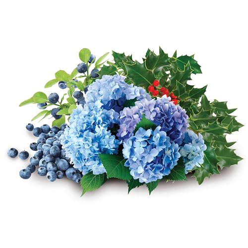 Granular Soil Amendment, Organic Soil Acidifier for Blueberry and Hydrangea Plants, 6 lbs Bag - view 6