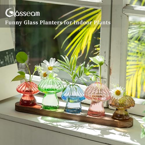 Mushroom Glass Plant Propagation Station with Wooden Stand 5Pcs - view 3