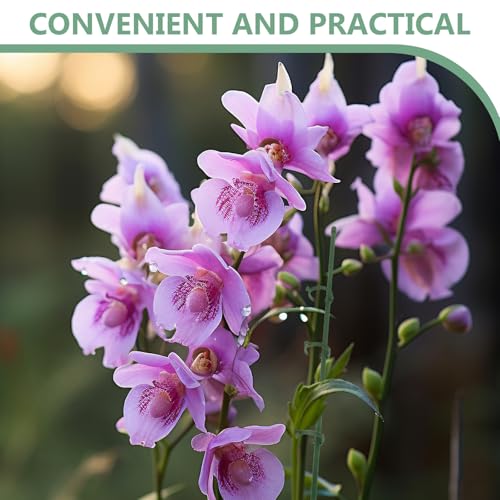 30.6x0.7x0.7cm Plastic Orchid Plant Stakes with Clips for Pots - view 7