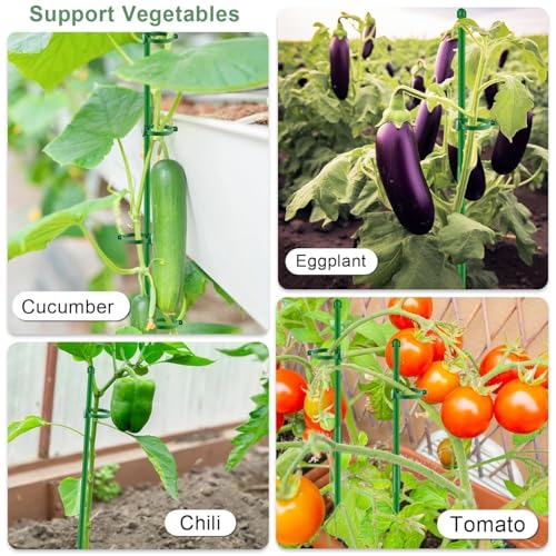 Plant Stakes 17 inch Support Stick Orchid Stakes with Clips 10Pcs Garden Plant Poles Extended to 3/4/5ft for Indoor Outdoor Potted Tomato Rose Amaryllis Vegetables Monstera -Green - view 7