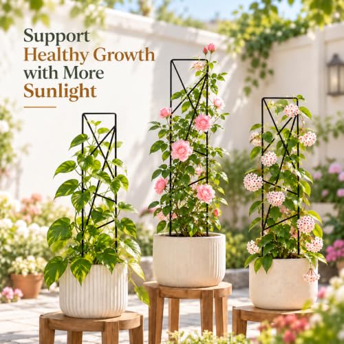 17.5 inch Small Trellis for Potted Plants, Metal Plant Trellis Indoor - view 6