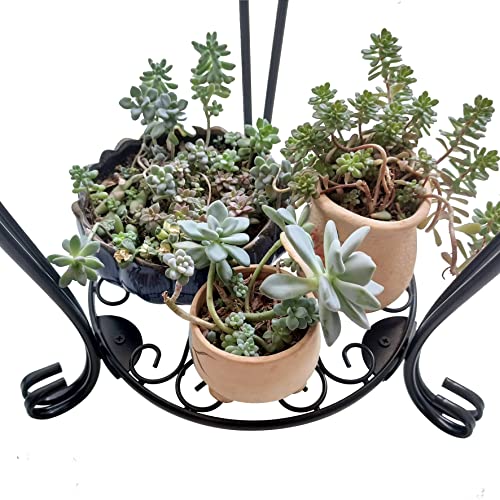 CASIMR 2 Tier Plant Stand, 19.2 inch Tall Metal Potted Holder Rack,Indoor Outdoor Multiple Flower Pot Shelf Rustproof Iron Garden Container for Garden Patio Living Room Corner Balcony, Black - view 6