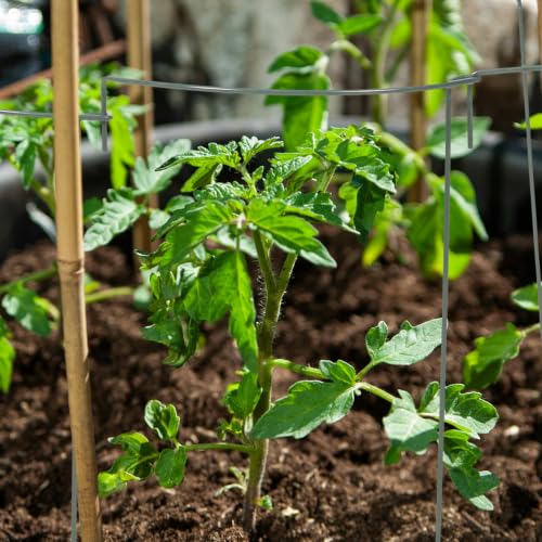 5pcs Green Iron Arc Plant Trellis Support Bracket for Climbing Plants - view 4