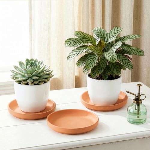 4 Pack Terracotta Pot Saucer, 9 Inch Large Round Terra Cotta Plant Saucers for 8 Inch 8.5 Inch 9 Inch Flower Pot with Drainage Hole, Clay Drip Tray Planter Water Tray for Indoor Outdoor Plants - view 7