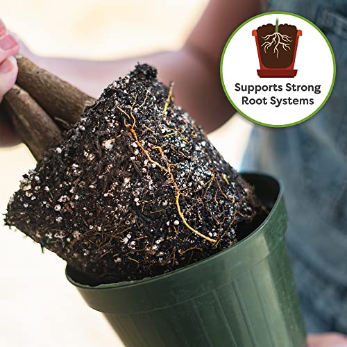 Money Tree Potting Soil, 4 qt, Indoor Coco Coir Mix - view 5