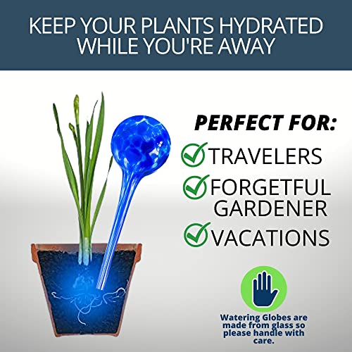2 Large 3 Small Glass Plant Watering Globes - Plant Watering Devices - Plant Watering Bulbs - Self Watering Spikes - Self Watering Planter Insert - Free Moisture Meter Cotswold Homeware - view 4