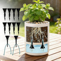 5 Sets Self Watering Spikes Automatic Plant Waterer Irrigation System Adjustable Indoor Outdoor Garden Devices Drip Feeder Tool