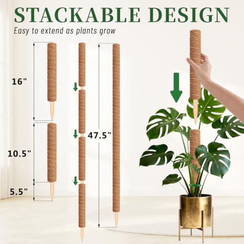 Moss Pole Monstera Plant Support, Extended to 48 Inch, 4 Pack 16 in - view 5