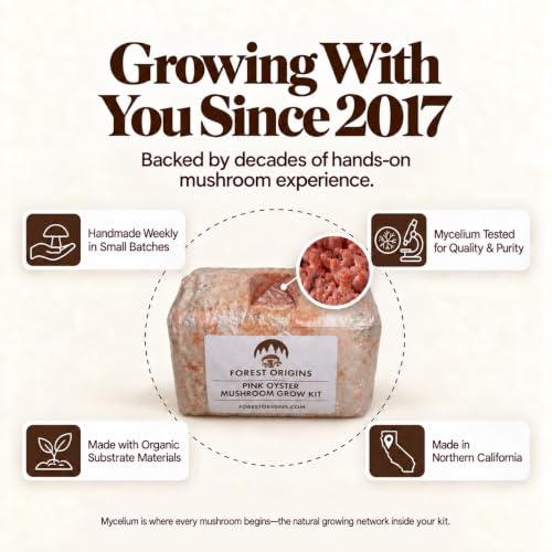 Specialty Trio Oyster Mushroom Kits, Pink Brown White 3-Pack - view 6