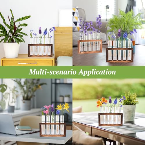 2pcs Desktop Glass Plant Propagation Station (10 Tubes) - view 4