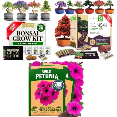 Premium 4 Varieties & 6 Bonsai Tree Starter & 4 Bonsai Tree Starter & Gold Yarrow 1,600 Seeds Kit