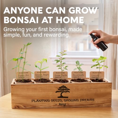 Bonsai Tree Kit Deluxe - Growing 5 Unique Japanese Bonzai Trees - view 2