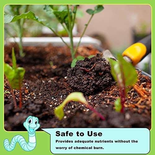 Worm Castings Organic Fertilizer 2.2LB, All Nature Fertilizer for Gardening, Tomato, Strawberry, Flower, and Herbs - view 4