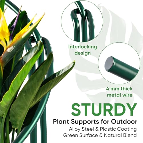 10 Pack 24" H x 10" W Tall Plant Support Stakes, Half Round Metal Peony Cages and Supports, Monstera Plant Support Snake Plant Stake Flower Support Ring for Tomato, Hydrangea Outdoor Indoor - view 4
