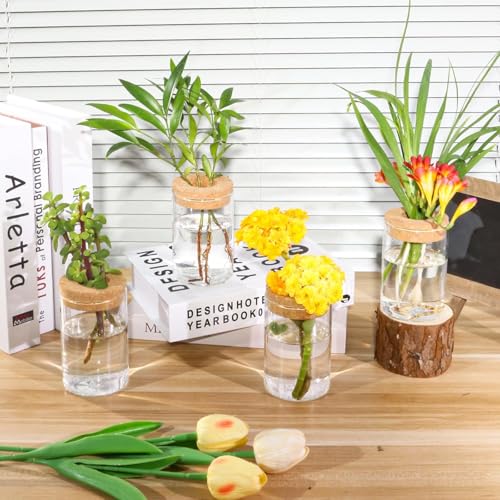 Plant Propagation Station,Hydroponic Glass Container Vase 2 Sizes Planter Propagated Jars for Desks, Houses, Garden Decorations,Home Kitchen Decorations and Gifts cu.20.5 (6pcs) - view 4