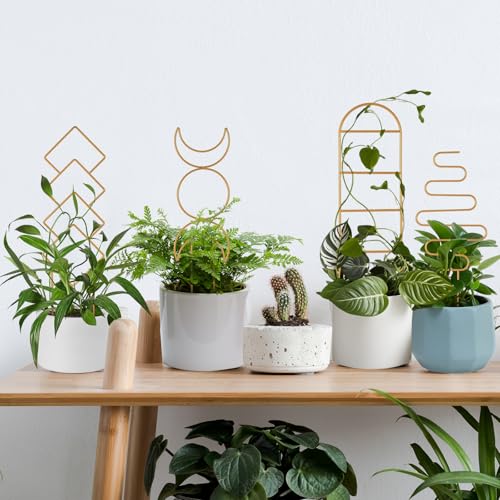 16inch Indoor Plant Trellis for Potted Plants - view 7