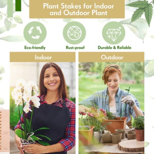 12 Pcs 12 Inch Adjustable Plant Support Stakes for Indoor, Green - view 5