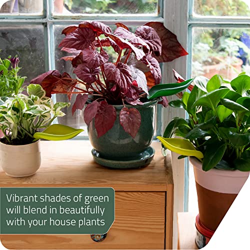 Leaflow Plant Pot Watering Funnel (Set of 3), Plant Watering Funnel for Indoor and Outdoor Plants, Watering Leaves for Plants - view 4